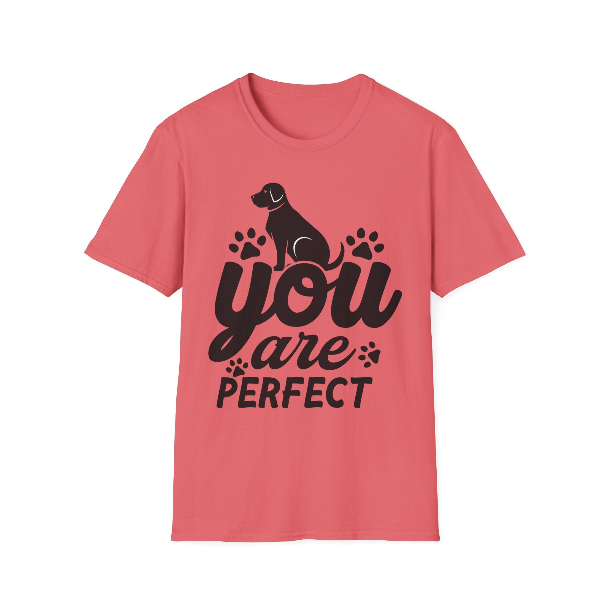 You Are Perfect T-Shirt - Shirt Cave
