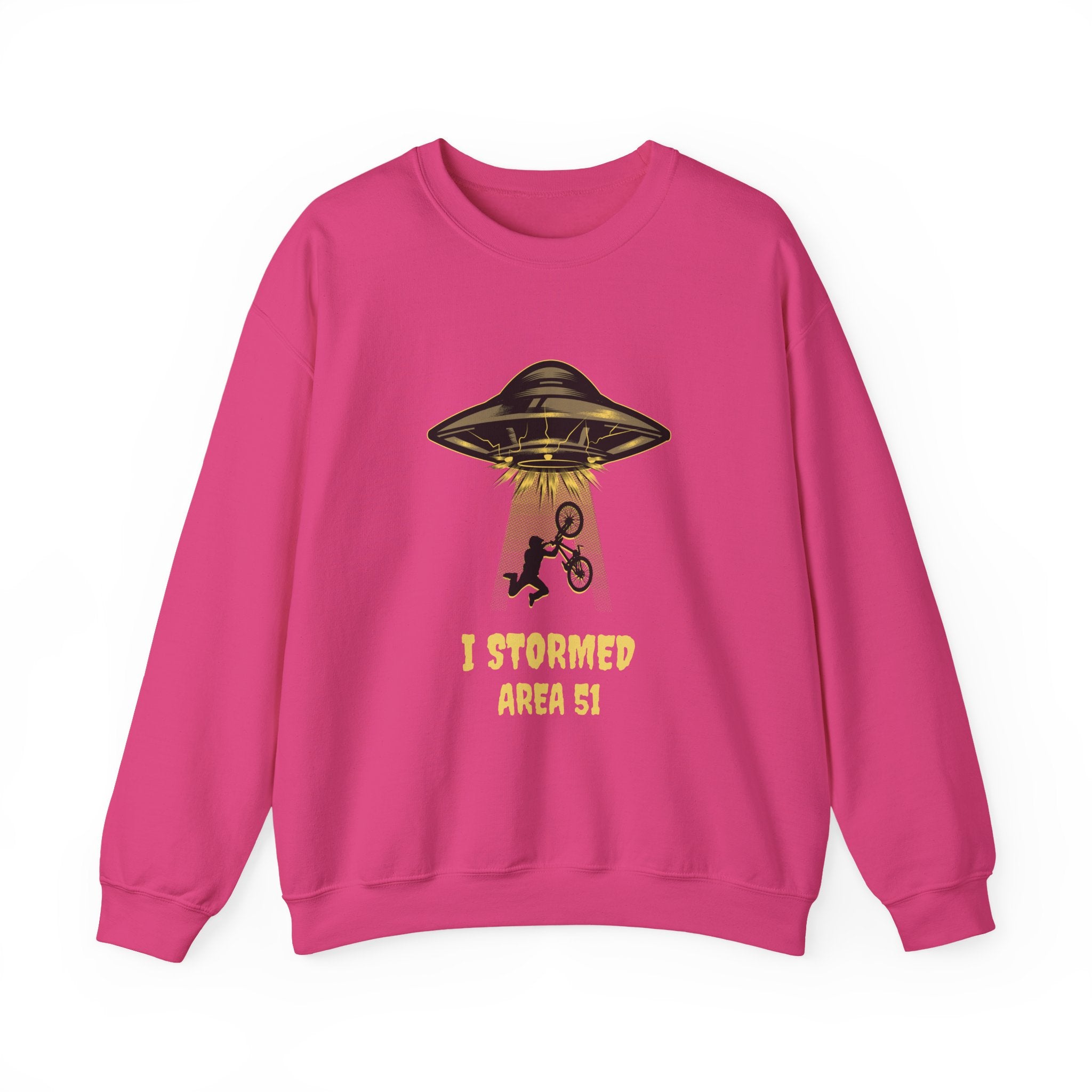I Stormed Area 51 Sweatshirt - Shirt Cave