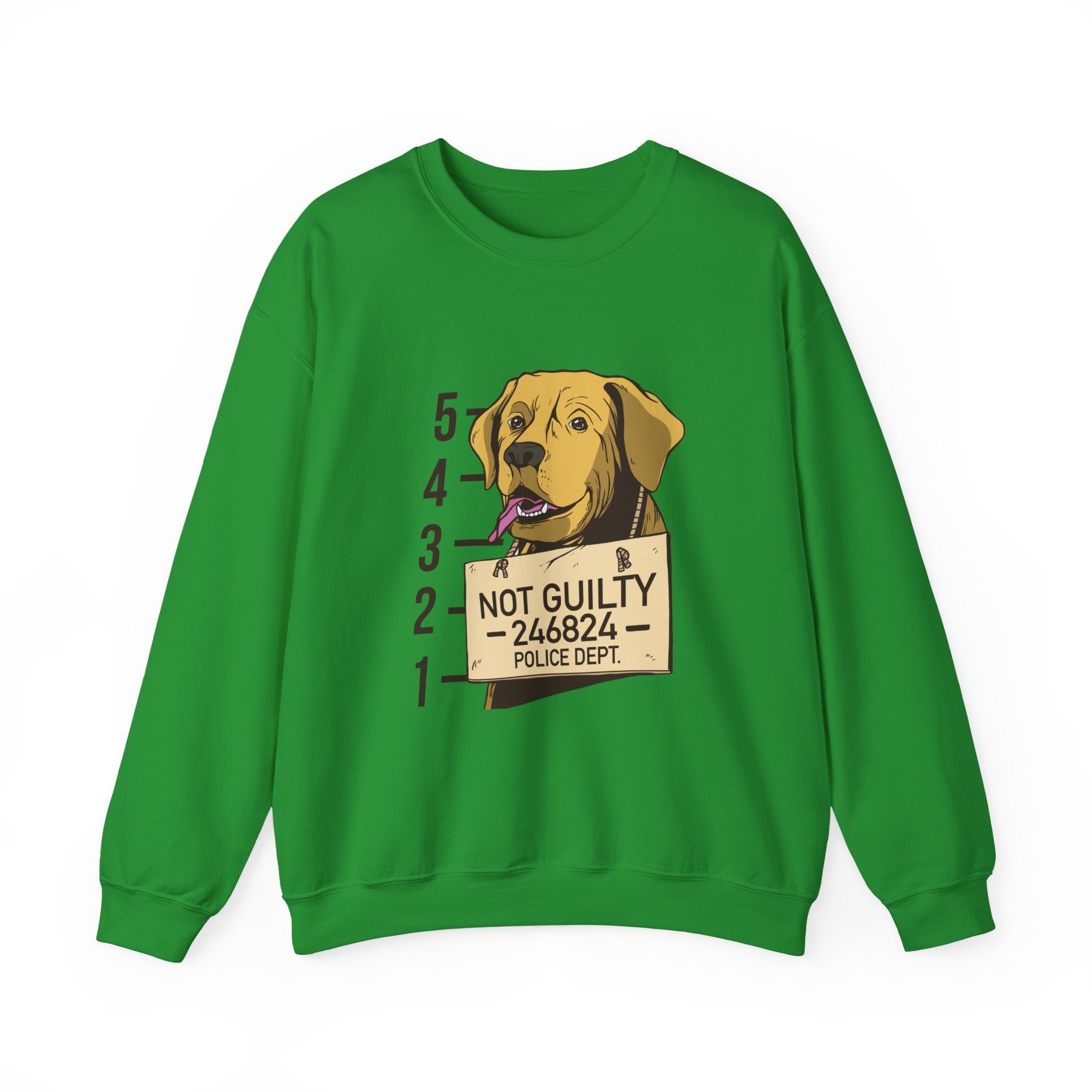 Not Guilty Sweatshirt - Shirt Cave