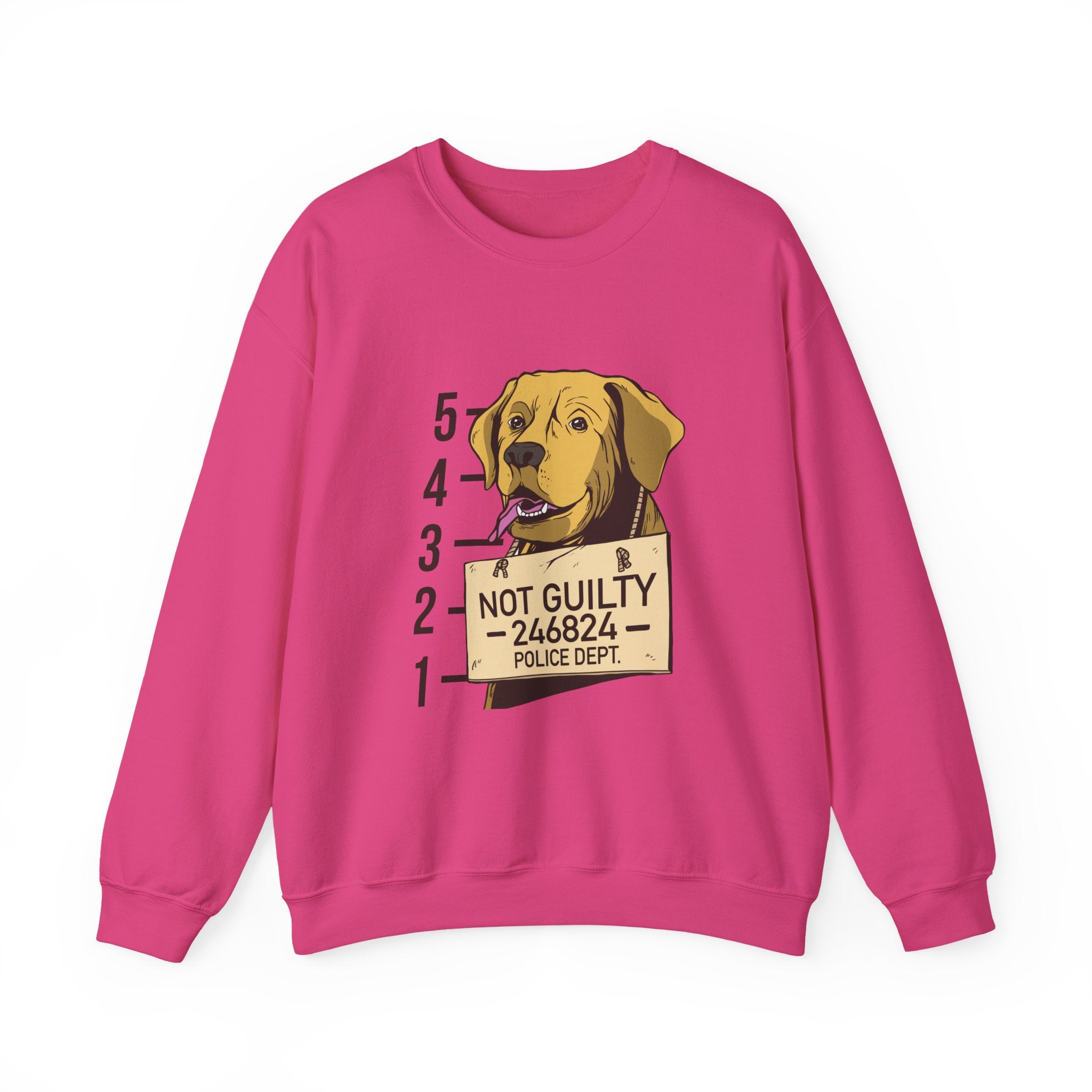 Not Guilty Sweatshirt - Shirt Cave