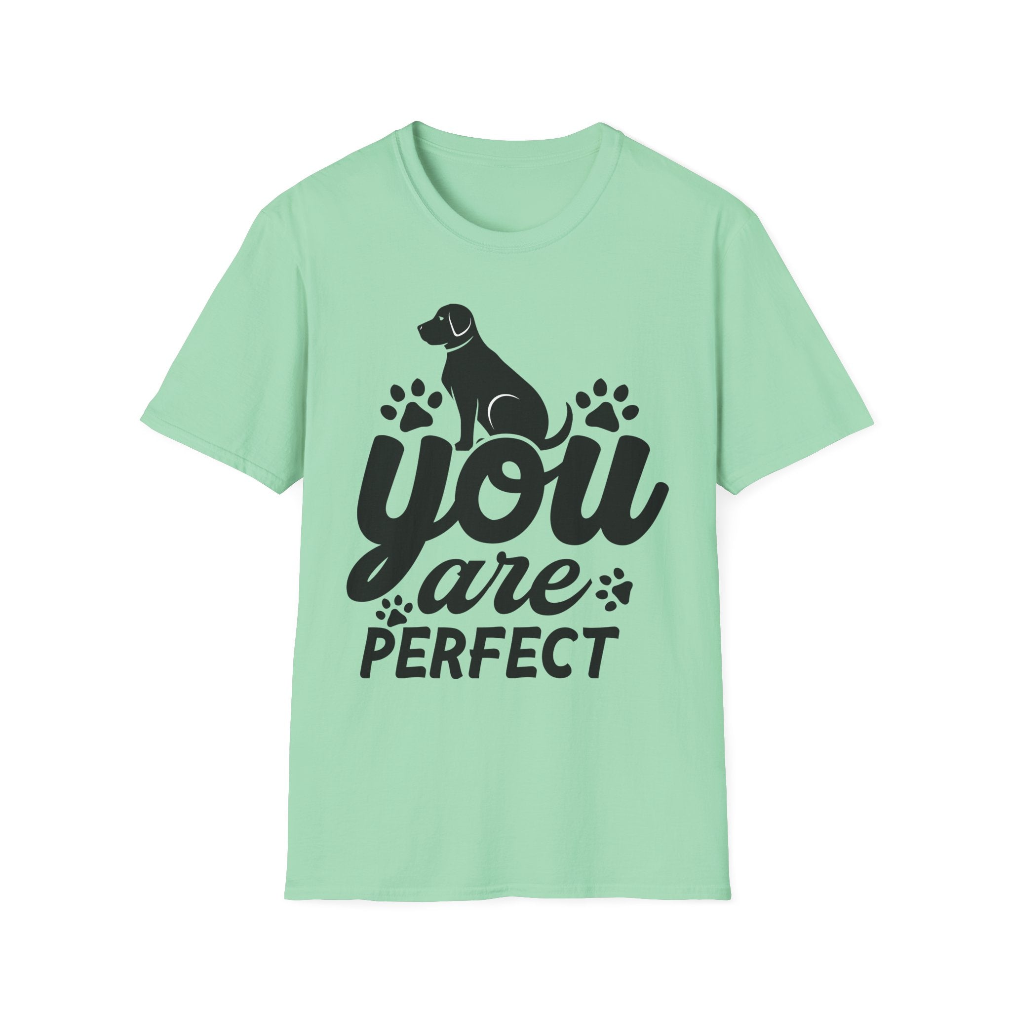 You Are Perfect T-Shirt - Shirt Cave