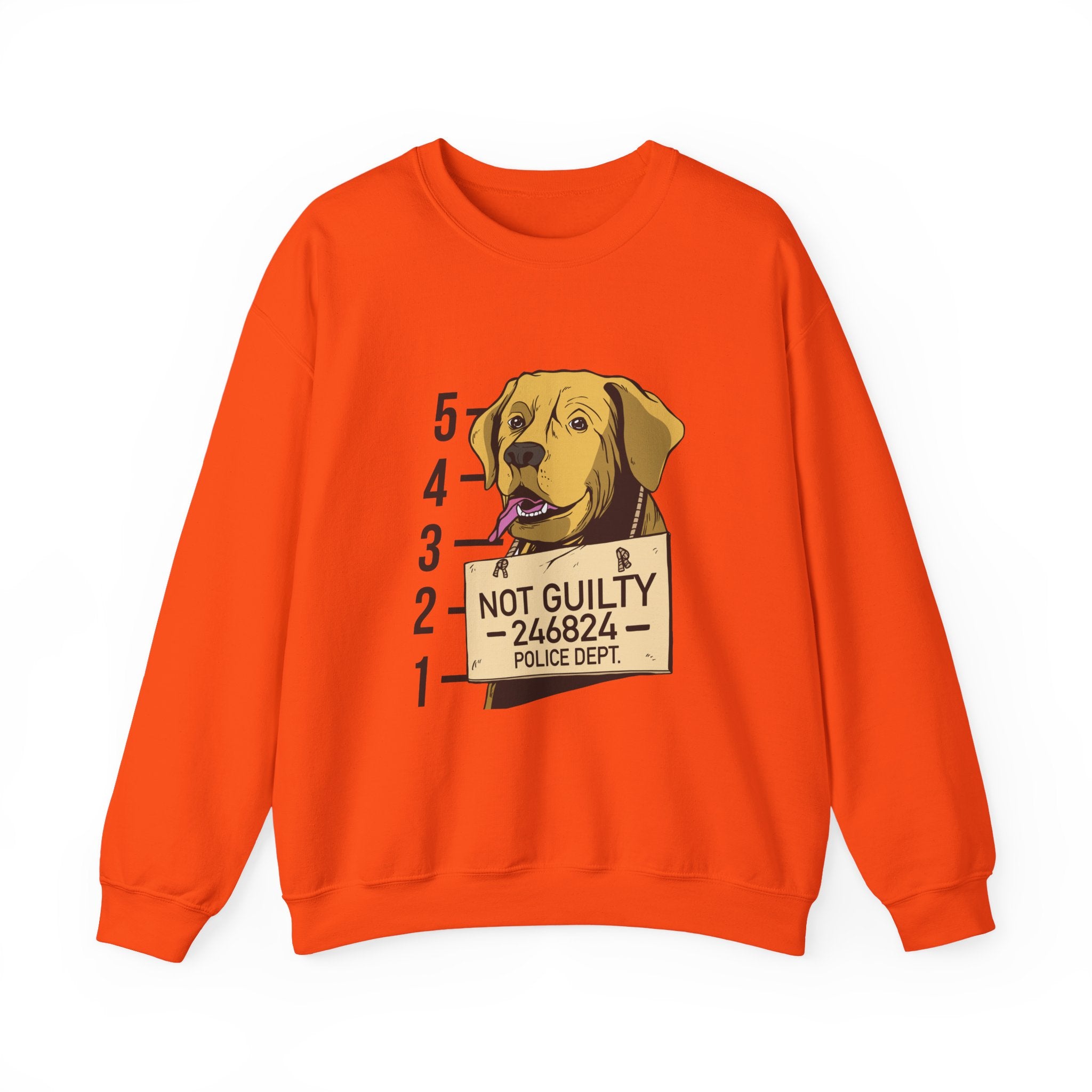 Not Guilty Sweatshirt - Shirt Cave