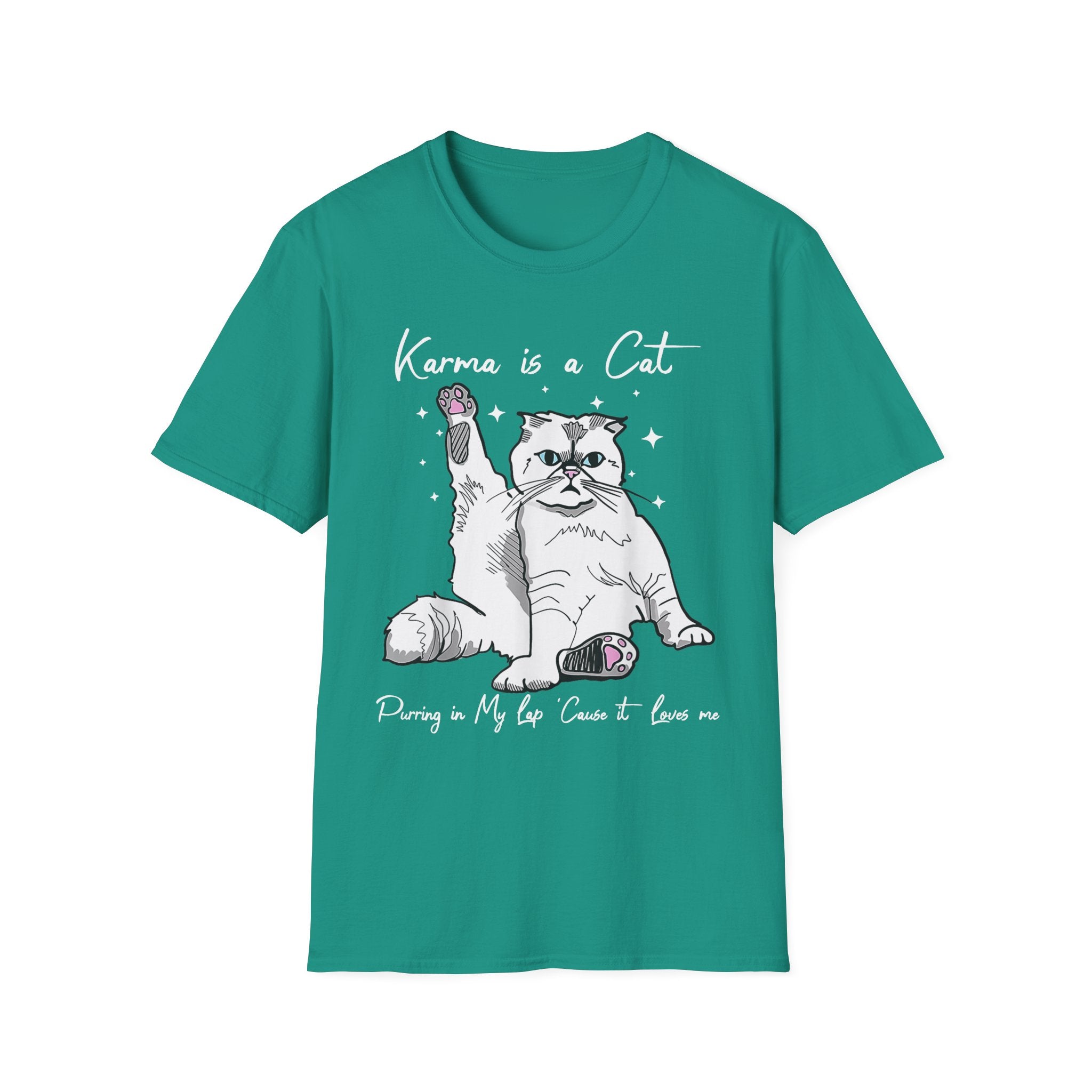 Karma Is A Cat T-Shirt - Shirt Cave