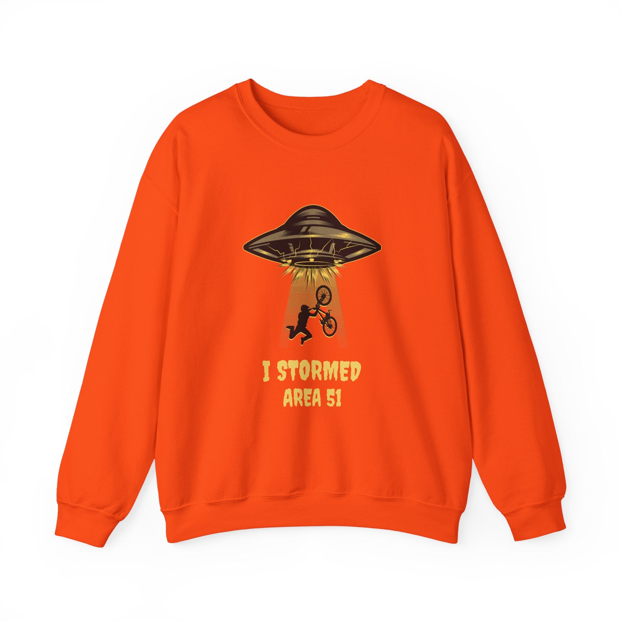 I Stormed Area 51 Sweatshirt - Shirt Cave
