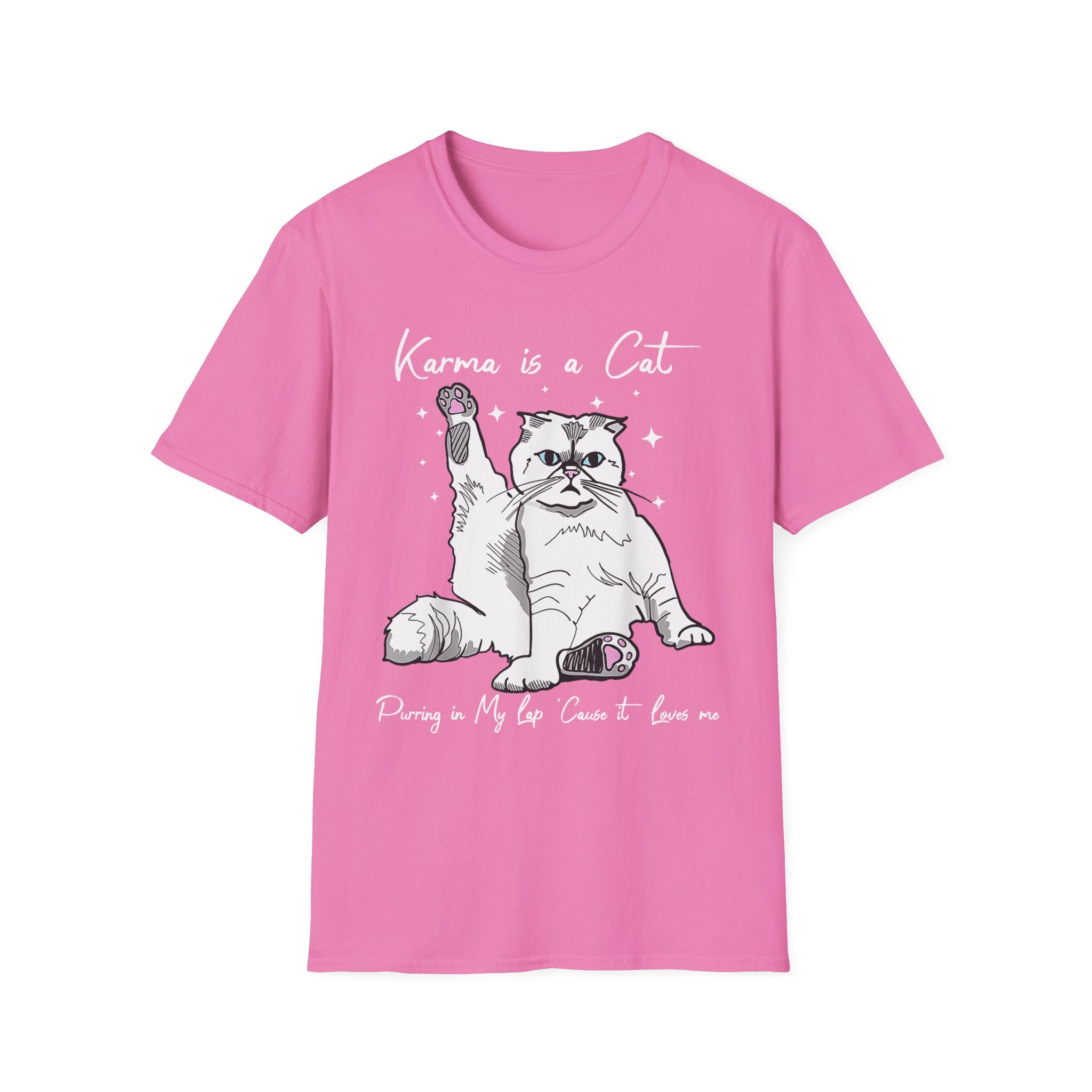 Karma Is A Cat T-Shirt - Shirt Cave