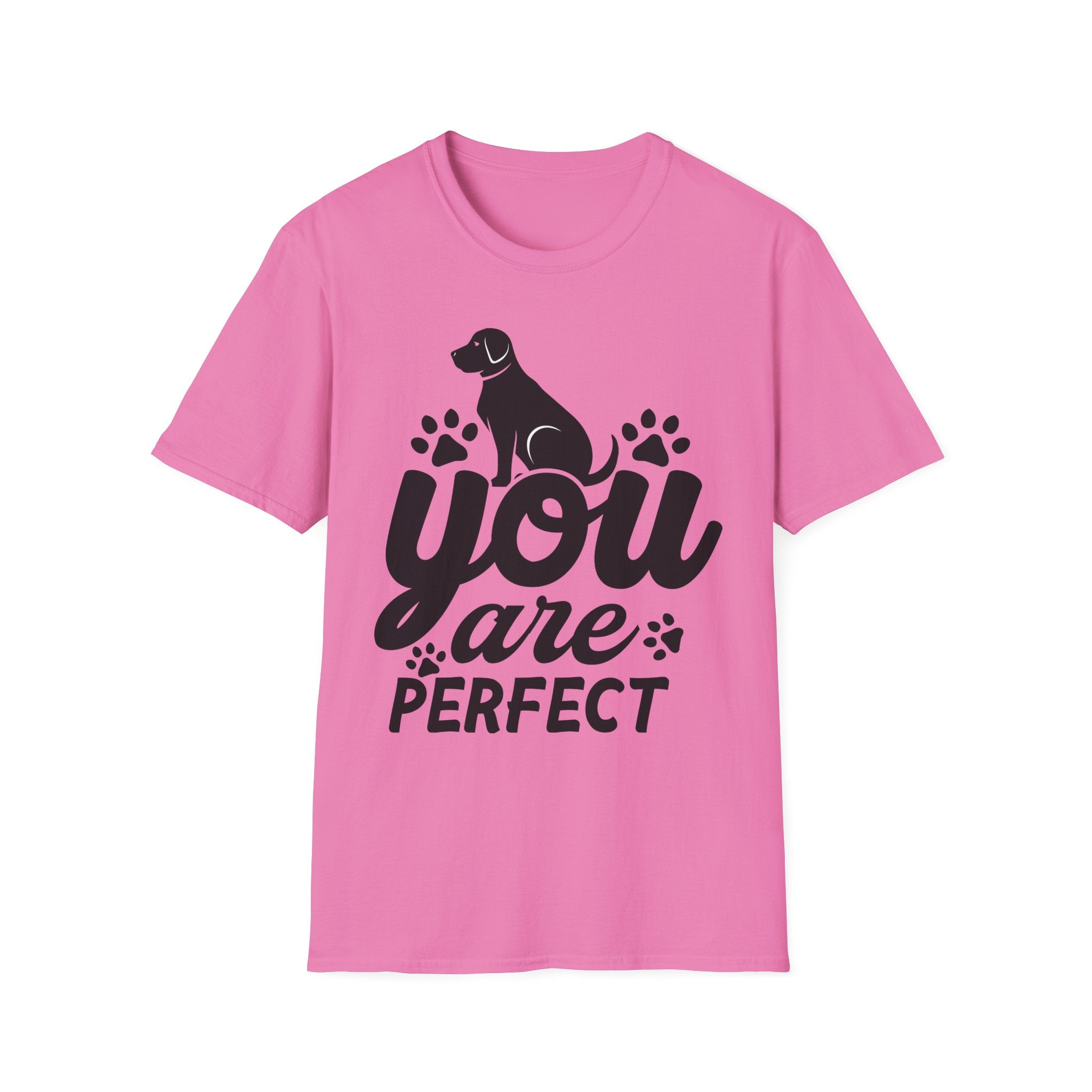 You Are Perfect T-Shirt - Shirt Cave