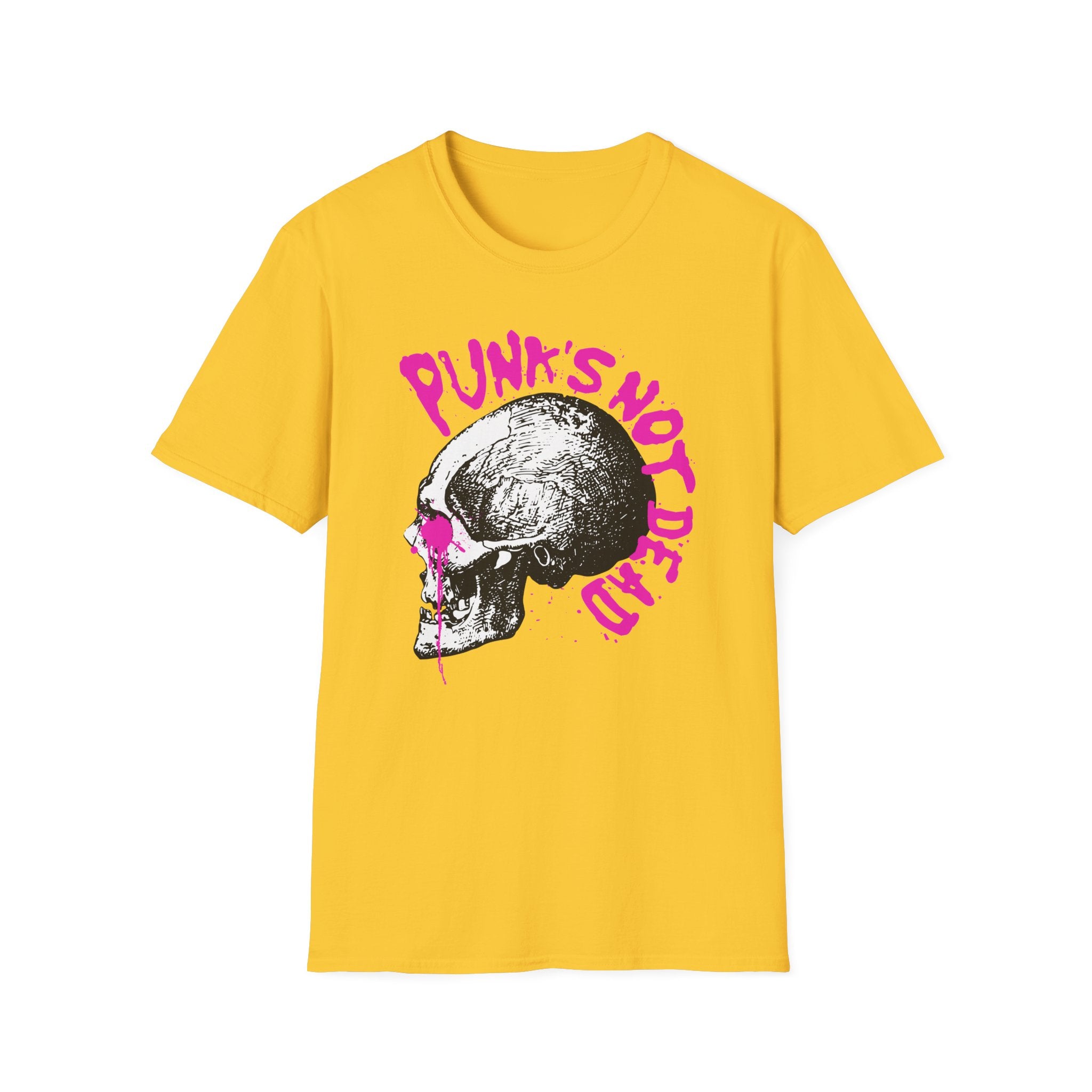 Punk's Not Dead T-Shirt - Shirt Cave