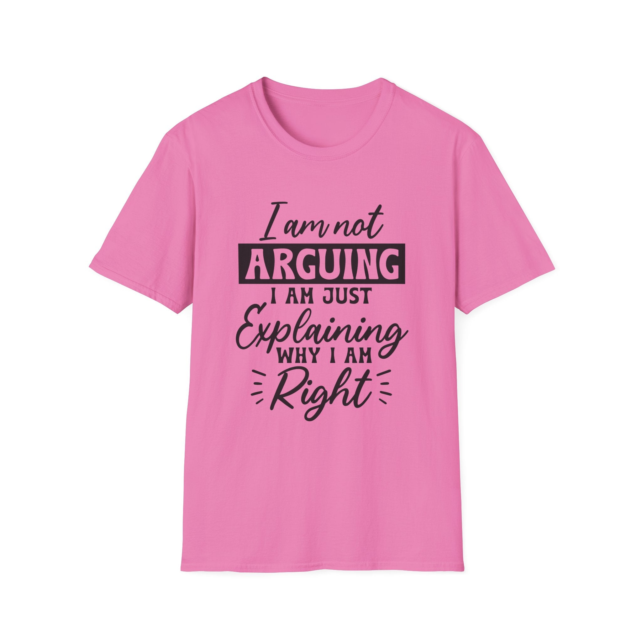 I Am Not Arguing T-Shirt - Shirt Cave